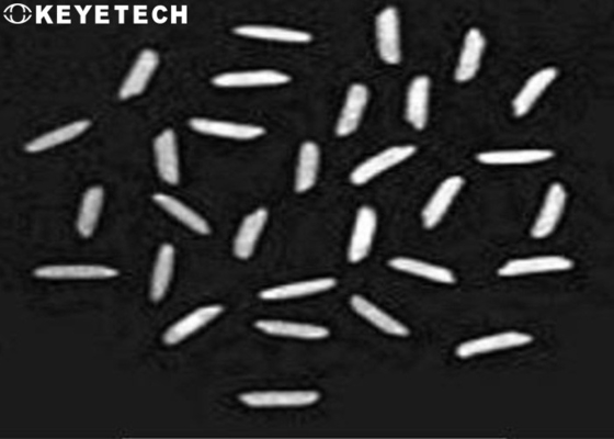 微細な速度ごとの900-1200pcsの食品分析の米の質の検光子の実験室