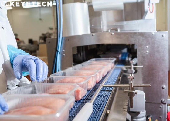PPのプラスチック使い捨て可能な食品容器のための包装の点検装置