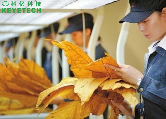 質の点検のためのKEYEのタバコの葉の自動視野の分類機械
